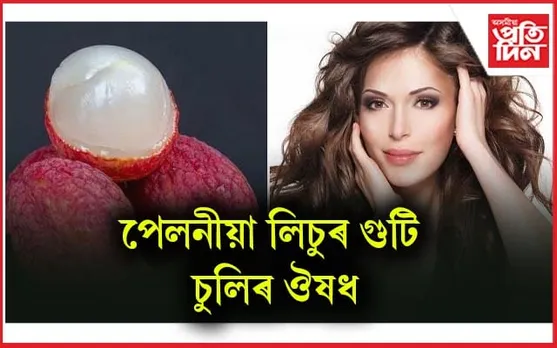এতিয়াৰে পৰা লিচুৰ গুটি আৰু পেলাই নিদিব